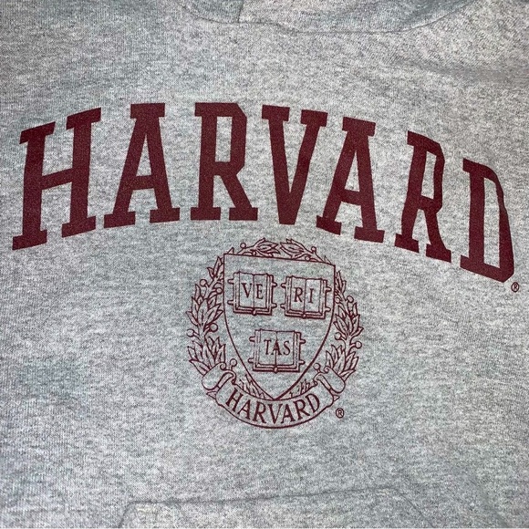 Harvard University Hoodie Youth Medium 10/12 SweatShirt Gray Pullover Collegiate - Picture 3 of 8